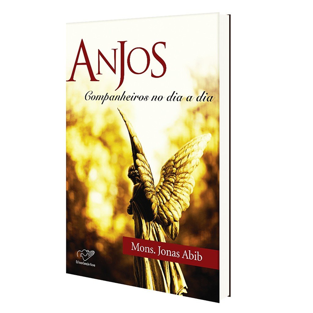 6336 - LIVRO ANJOS COMPANHEIROS NO DIA A DIA