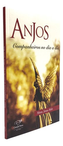 Anjos Companheiros No Dia A Dia