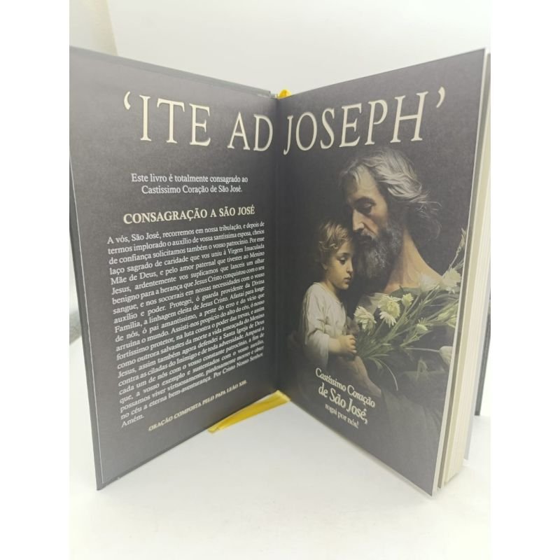 Livro - Tratados - Tesouros de Espiritualidade para Lares Católicos - Eudes Duate