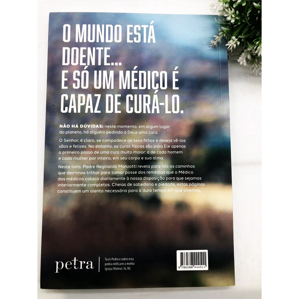 Livro: O Poder Da Cura - Padre Reginaldo Manzotti